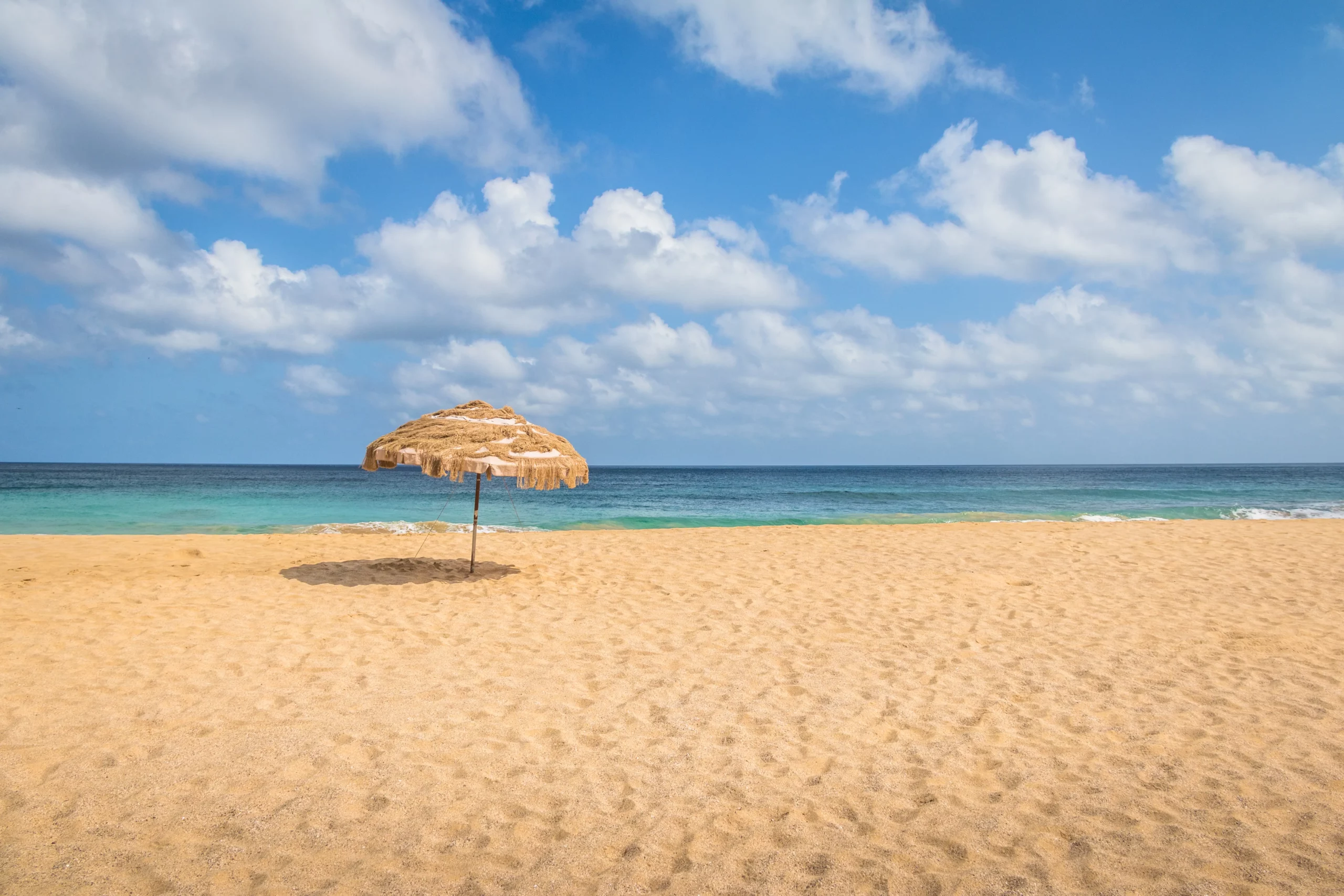 Bizerta Resort Renouvelle ses Certifications ISO 9001 et 22000 : Une Référence à Bizerte